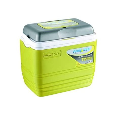 Insulated Water Cooler Ice Chiller Box 10L,Lemon Green.